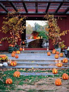 How to Host a Fall Backyard Party - bhgrelife.com