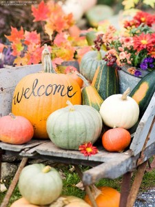 How to Host a Fall Backyard Party - bhgrelife.com