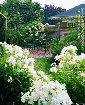 Patio Privacy Inspiration to Help Create a Perfect Outdoor Getaway - bhgrelife.com