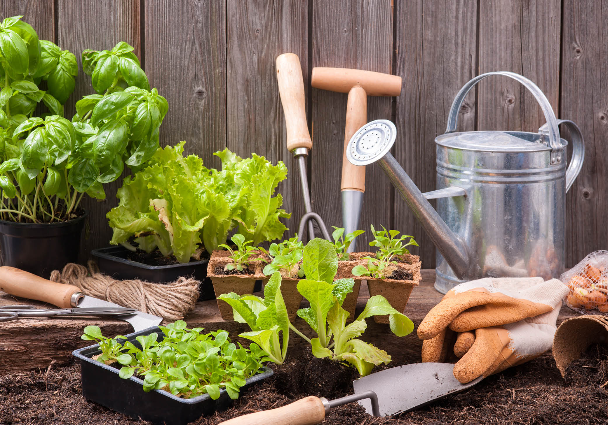 Gardening tools